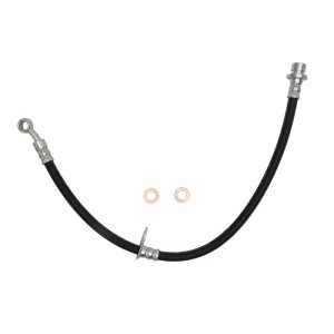 Acura TSX Brake Hoses - Front-R - R1 Concepts - `08-`14